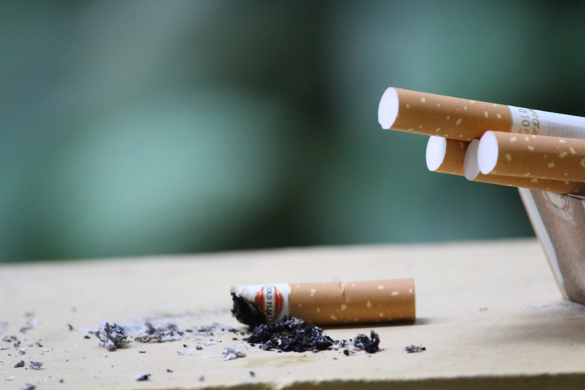 L’Art de Fumer un Cigare: Une Introduction aux Différents Types et Varietés